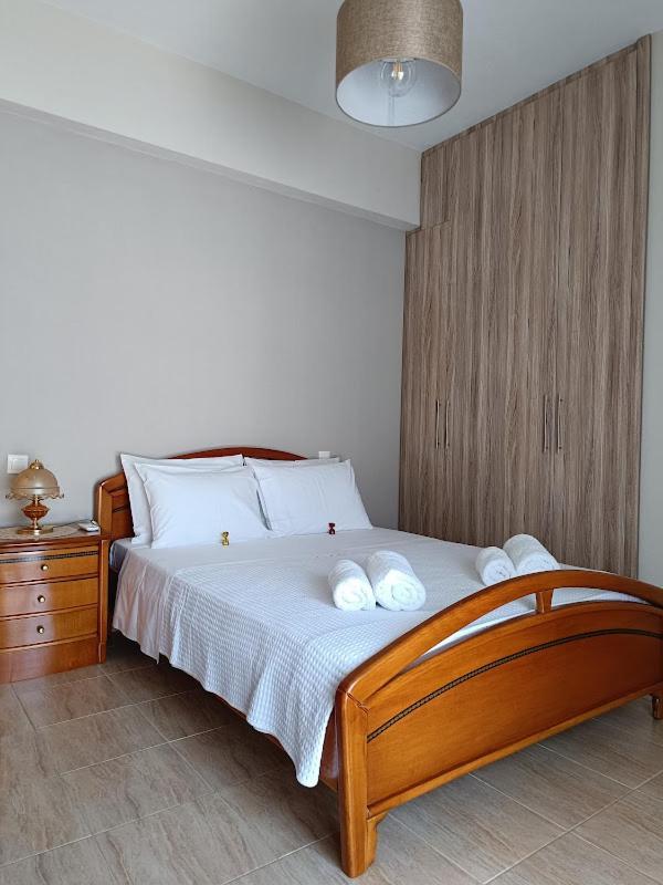 Panos House - High Luxury Apartment Tríkala Zewnętrze zdjęcie