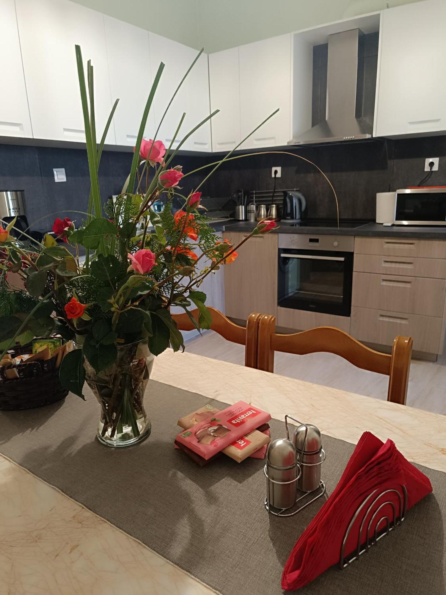 Panos House - High Luxury Apartment Tríkala Zewnętrze zdjęcie