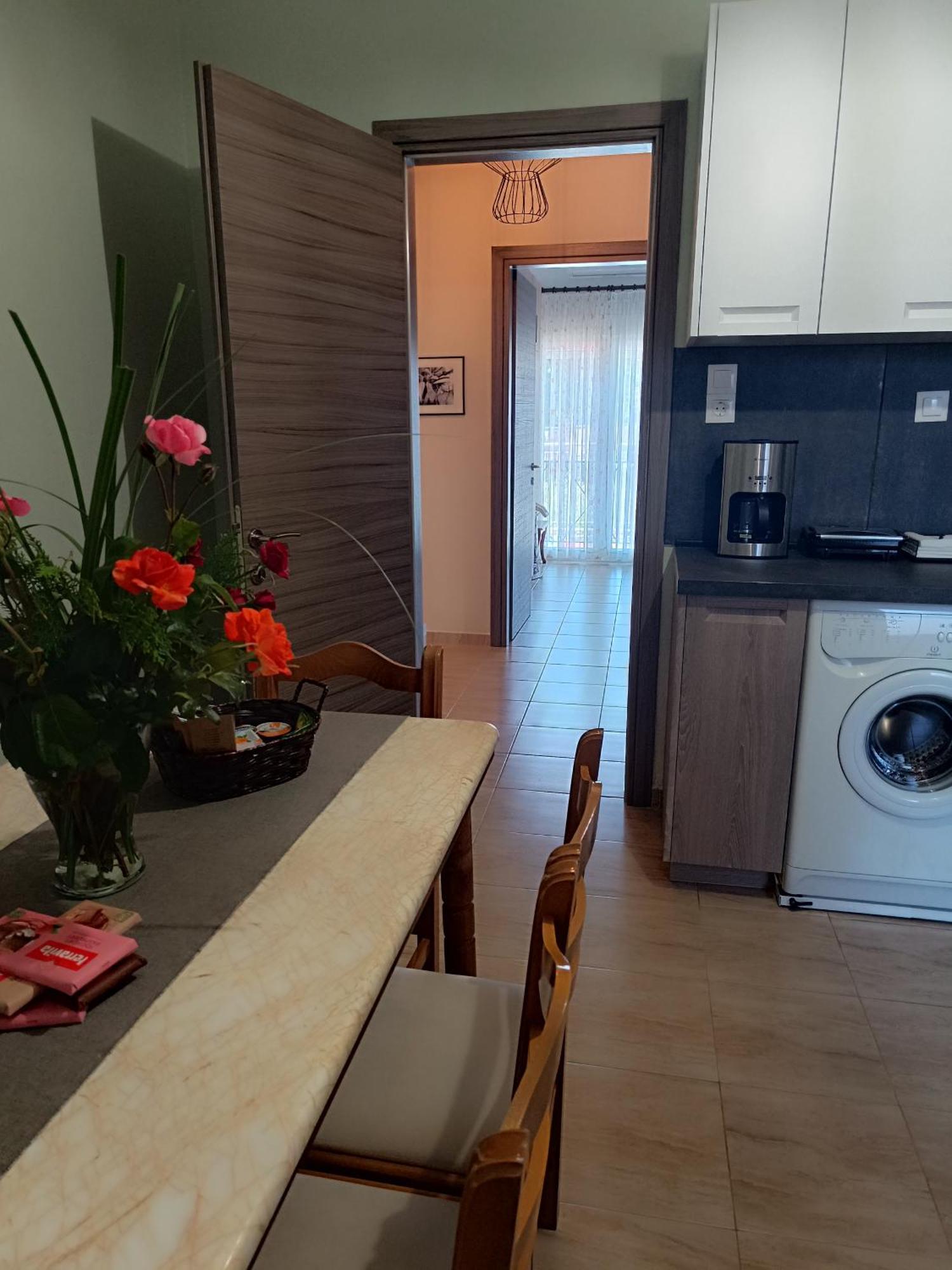 Panos House - High Luxury Apartment Tríkala Zewnętrze zdjęcie